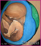 fetus painted belly